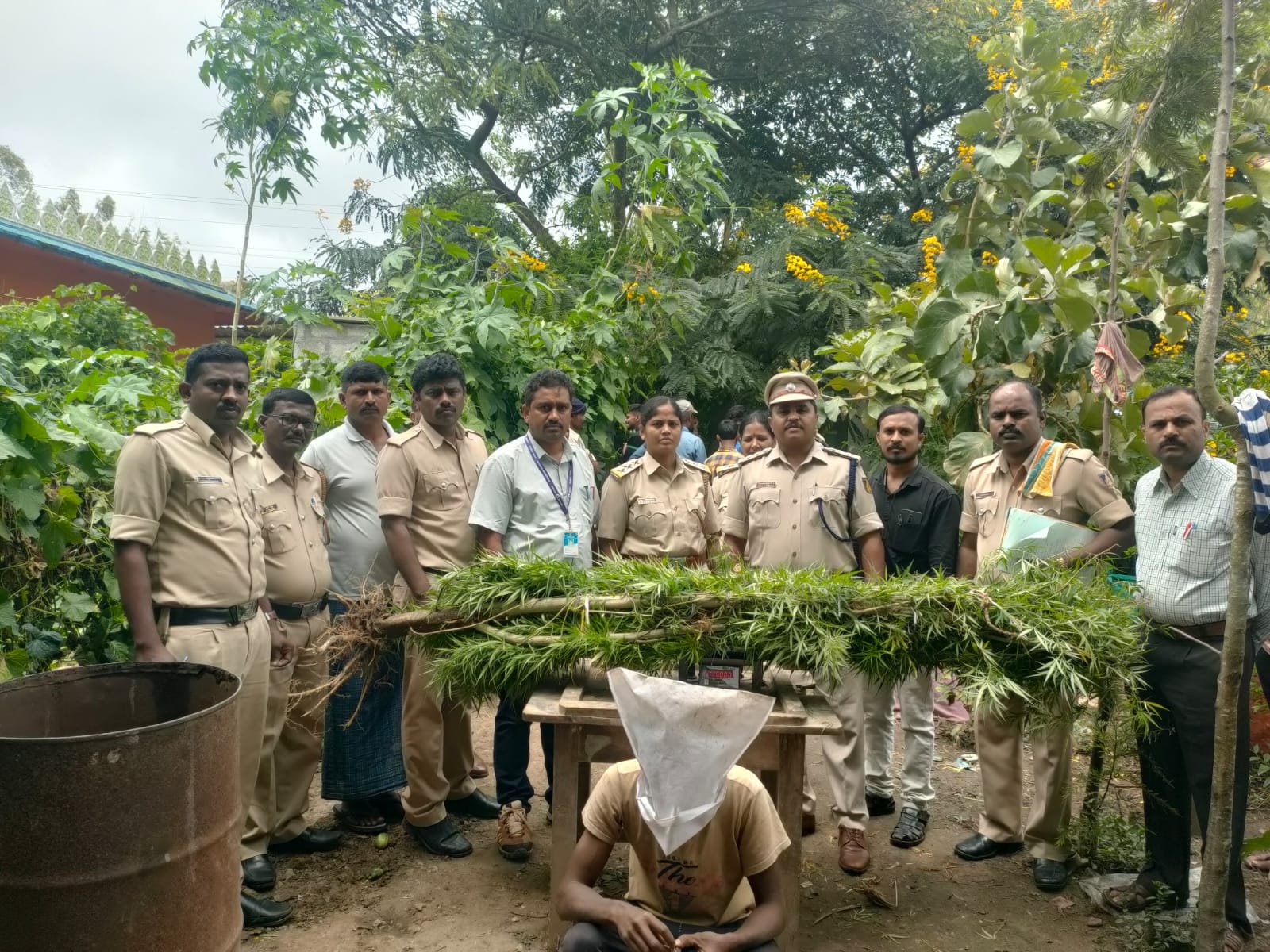 ಇಟ್ಟಿಗೆ ಫ್ಯಾಕ್ಟರಿಯಲ್ಲಿ ಗಾಂಜಾ ಬೆಳೆ ಪತ್ತೆ…ಓರ್ವನ ಬಂಧನ…