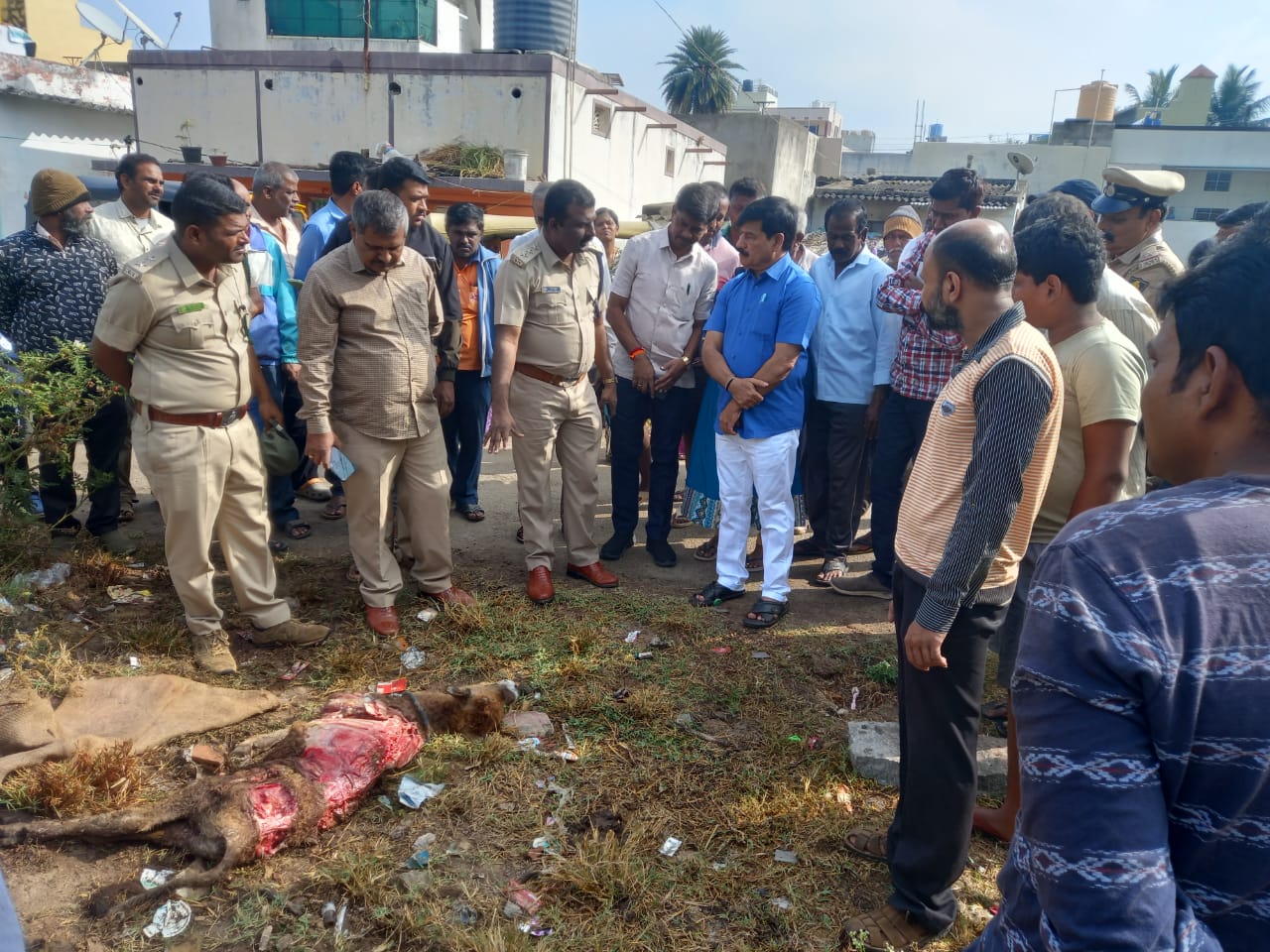 ಜೆ.ಸಿ.ಬಡಾವಣೆಯಲ್ಲಿ ಚಿರತೆ ದಾಳಿಗೆ ಕರು ಬಲಿ…ಸ್ಥಳೀಯರಲ್ಲಿ ಆತಂಕ…