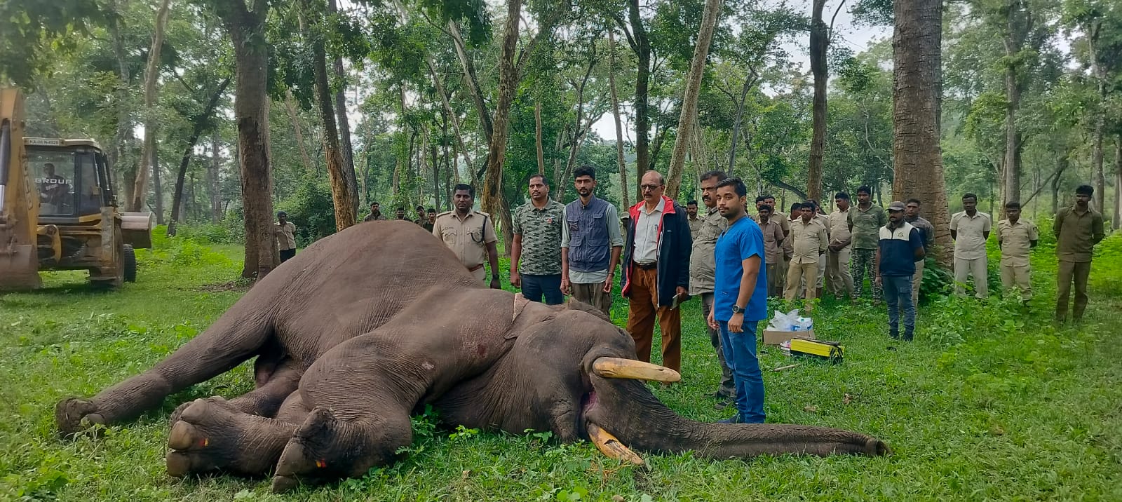 ಮತ್ತಿಗೋಡು ಸಾಕಾನೆ ಶಿಬಿರದಲ್ಲಿ ಪಳಗಿಸಲಾಗುತ್ತಿದ್ದ ಆನೆ ಸಾವು…