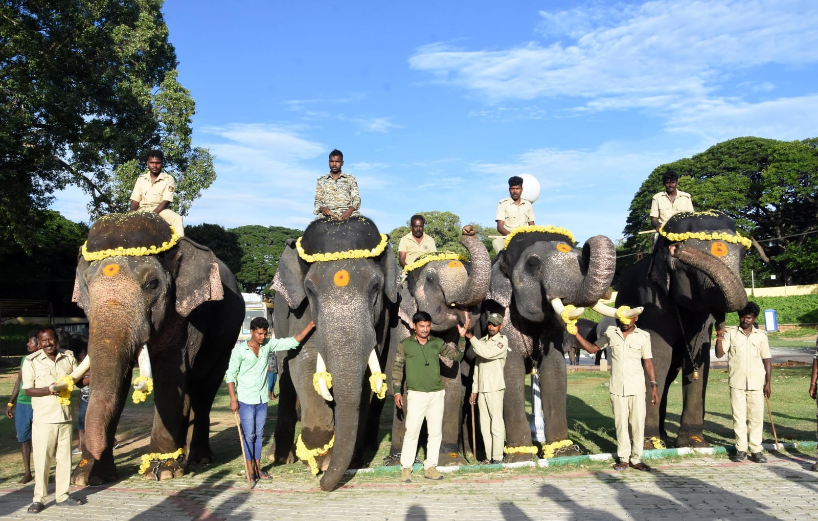 ದಸರಾ 2023: ಎರಡನೇ ತಂಡದಲ್ಲಿ 6 ಆನೆಗಳು ಆಗಮನ…