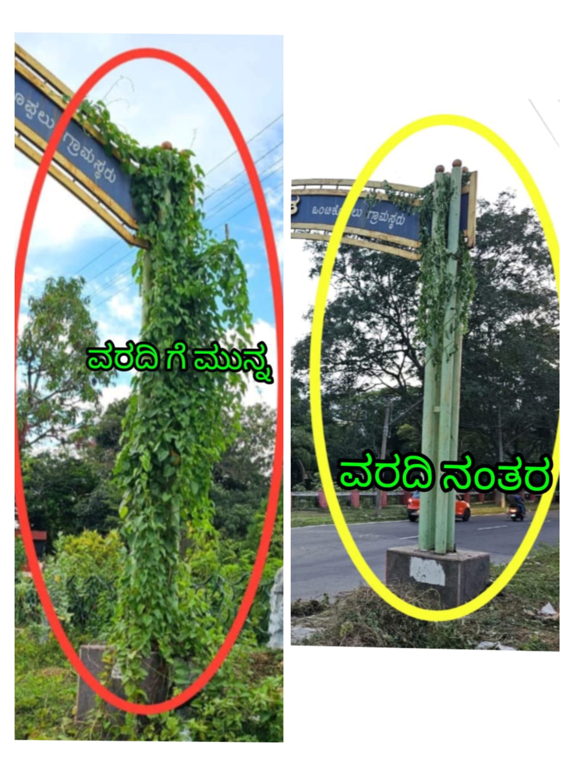 ಬಳ್ಳಿಗಳ ಕಾಟದಿಂದ ಮುಕ್ತವಾದ ಒಂಟಿಕೊಪ್ಪಲ್ ಬಡಾವಣೆ ಸ್ವಾಗತ ಕಮಾನು ಗೇಟ್…Tv10 ಕನ್ನಡ ಇಂಪ್ಯಾಕ್ಟ್…