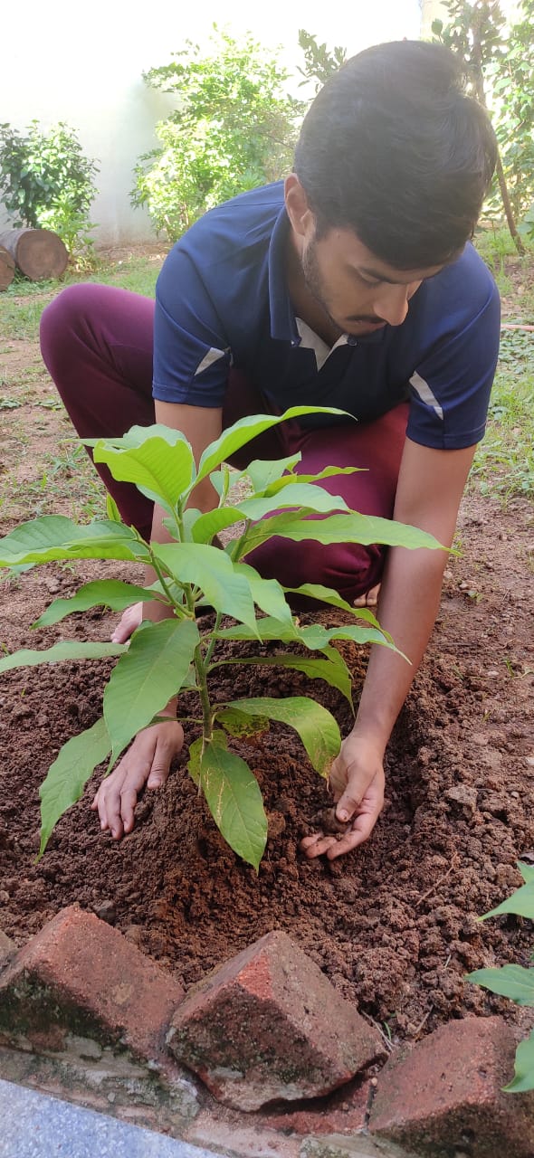 ಮೊದಲ ಮತದಾನದ ನೆನಪಿಗಾಗಿ ಪ್ರತಿಯೊಬ್ಬರು ಗಿಡ ನೆಡಿ