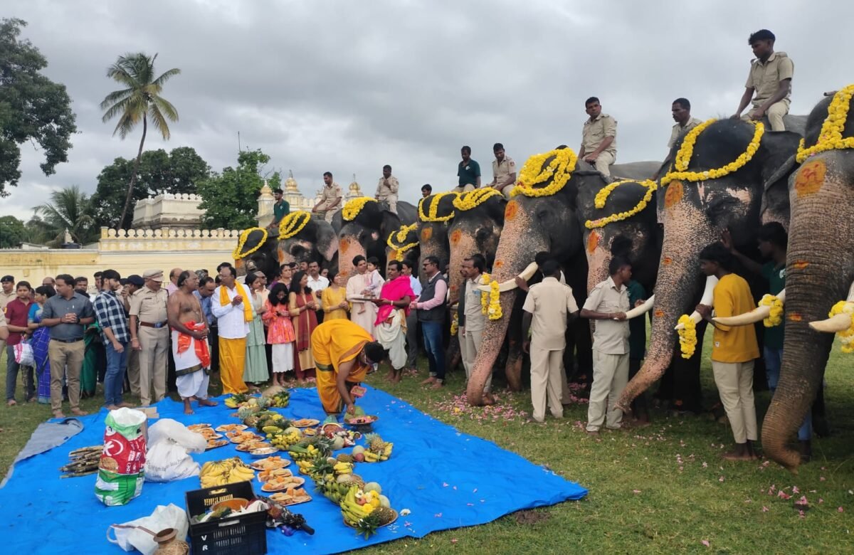 ಗೌರಿಗಣೇಶ ಹಬ್ಬ ಹಿನ್ನೆಲೆ: ದಸರಾ ಆನೆಗಳಿಗೆ ವಿಶೇಷ ಪೂಜೆ …