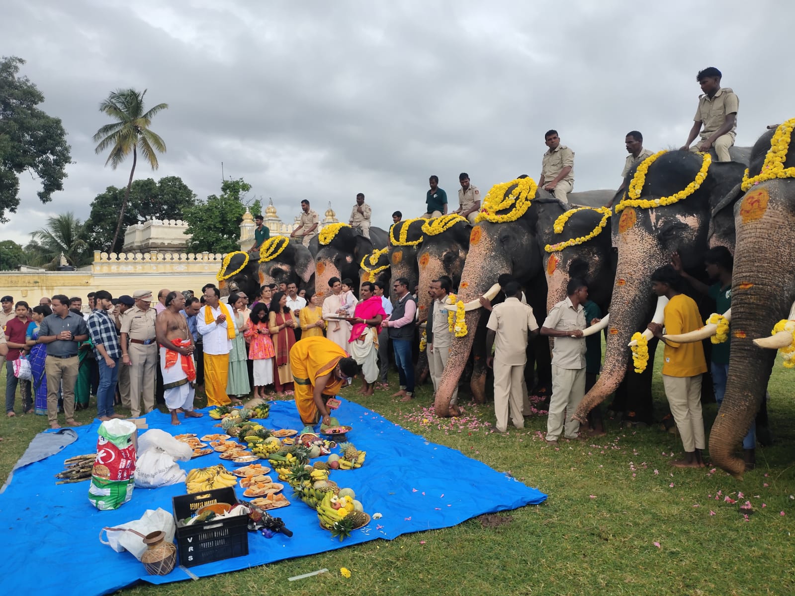 ಗೌರಿಗಣೇಶ ಹಬ್ಬ ಹಿನ್ನೆಲೆ: ದಸರಾ ಆನೆಗಳಿಗೆ ವಿಶೇಷ ಪೂಜೆ …