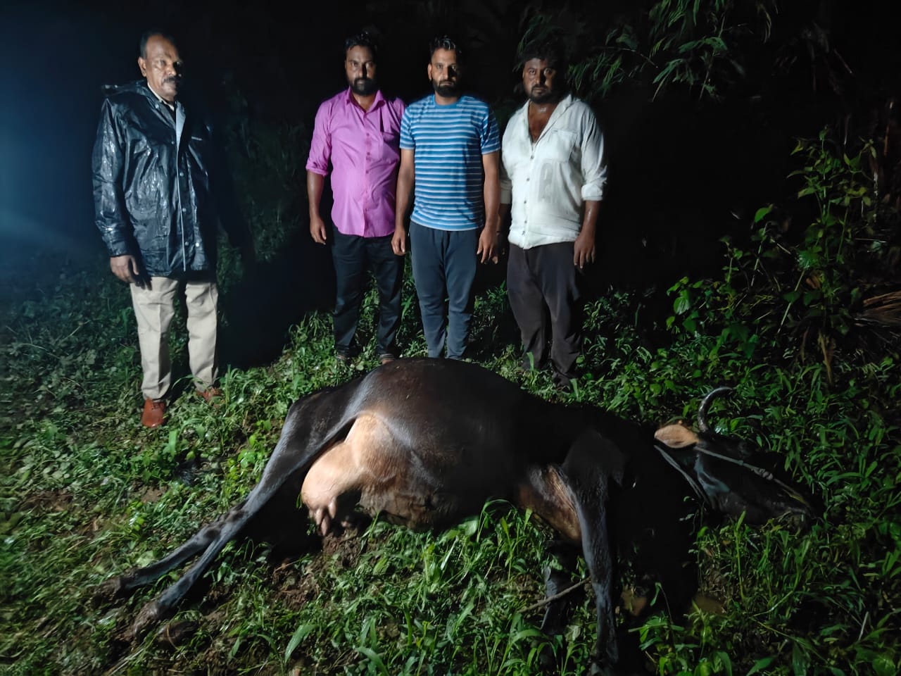 ತುಂಡಾಗಿ ಬಿದ್ದ ವಿದ್ಯುತ್ ತಂತಿ ತುಳಿದು ಓಋವ ವ್ಯಕ್ತಿ,ಎರಡು ಹಸು ಸಾವು…