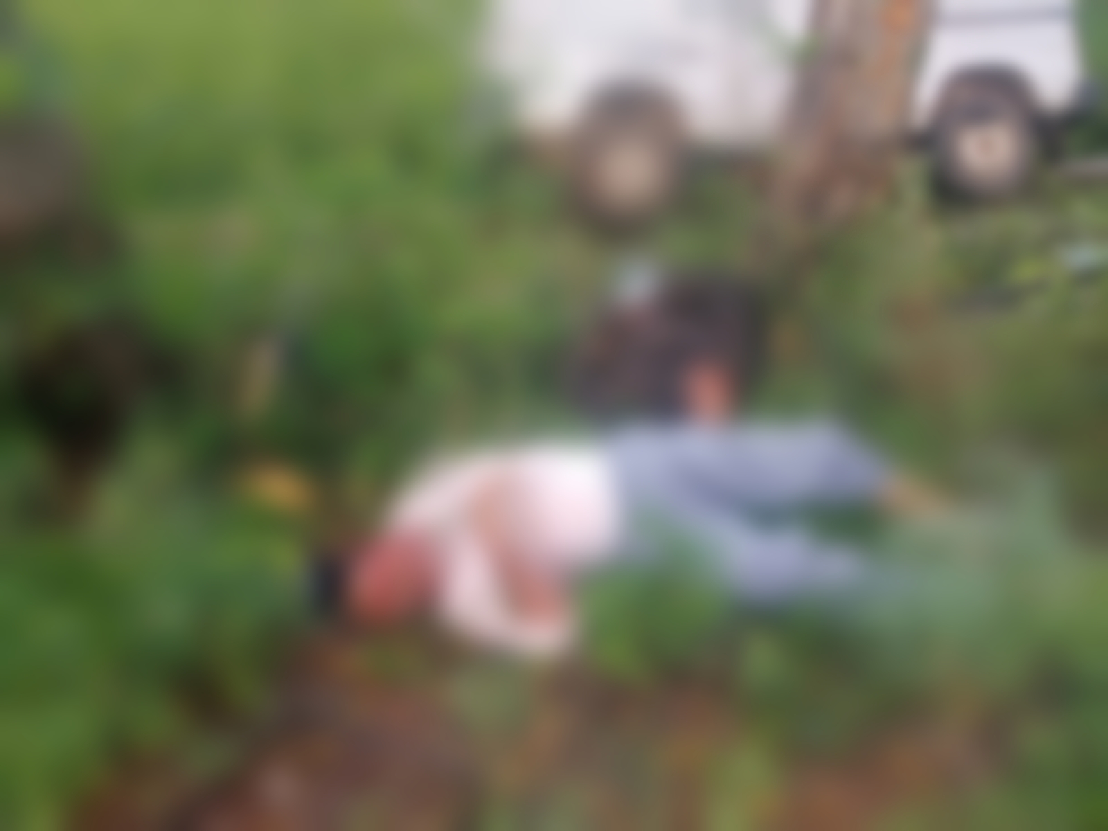 ಮರಕ್ಕೆ ಢಿಕ್ಕಿ ಹೊಡೆದ ಕಾರು…ಇಬ್ಬರ ಸಾವು…