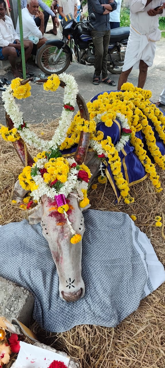 ಕಿಡಿಗೇಡಿಗಳ ದುಷ್ಕೃತ್ಯಕ್ಕೆ ಗ್ರಾಮದ ಬಸವ ಬಲಿ…ಇಂದು ಅಂತ್ಯ ಸಂಸ್ಕಾರ…ಸ್ಮರಣಾರ್ಥ ನಿರ್ಮಿಸುವಂತೆ ಗ್ರಾಮಸ್ಥರ ಆಗ್ರಹ…