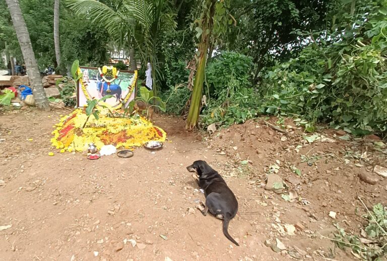 ಅಗಲಿದ ಬಸವನಿಗೆ ಶ್ರದ್ದಾಂಜಲಿ…ಸಮಾಧಿ ಬಳಿ ಕಂಬನಿ ಮಿಡಿದ ಶ್ವಾನ…ಮೇಟಗಳ್ಳಿಯಲ್ಲಿ ಹೃದಯಸ್ಪರ್ಶಿ ಘಟನೆ…