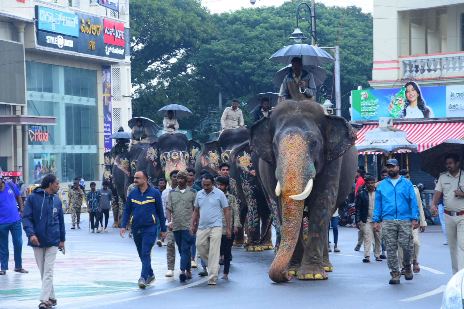 ದಸರಾ ಗಜಪಡೆಗೆ ತೂಕ ಪ್ರಕ್ರಿಯೆ…ಭೀಮ ಬಲಶಾಲಿ..