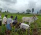 ಹೃದಯಾಘಾತಕ್ಕೆ ರೈತ ಬಲಿ…ಜಮೀನು ಉಳುಮೆ ಮಾಡುವ ವೇಳೆ ಘಟನೆ…