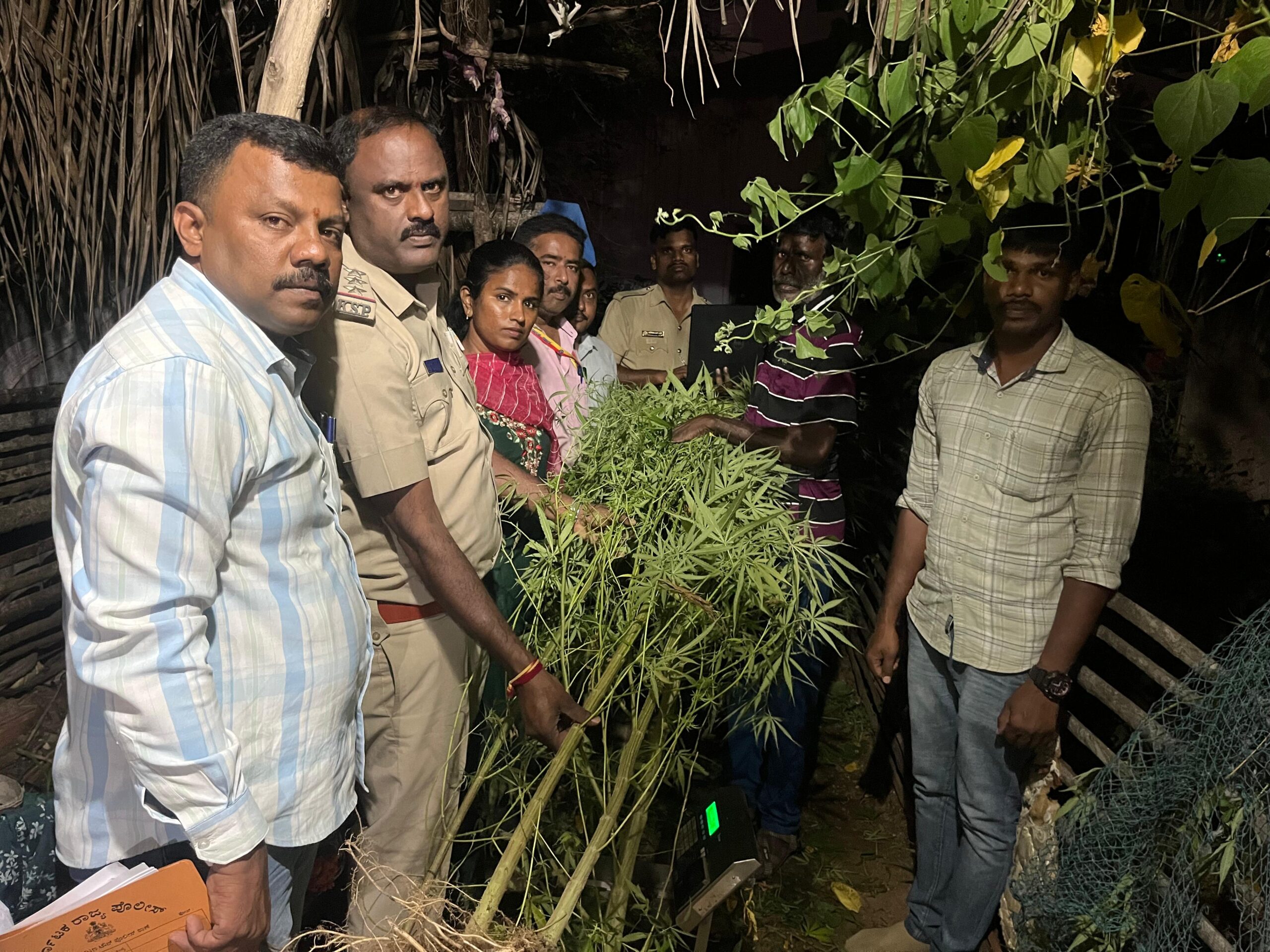 ಮನೆಮುಂದೆ ಗಾಂಜಾ ಬೆಳೆದಿದ್ದ ಭೂಪ ಅಂದರ್…9 ಕೆಜಿ ಗಾಂಜಾ ವಶ…