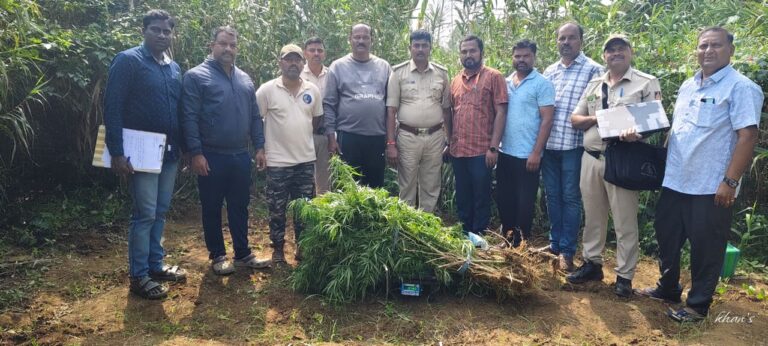 ಜಮೀನಿನಲ್ಲಿ ಗಾಂಜಾ ಬೆಳೆ.ಓರ್ವನ ಬಂಧನ.ಚಾಮರಾಜನಗರ ಹನೂರು ತಾಲ್ಲೂಕಿನ ದೊಮ್ಮನಗದ್ದೆ ಗ್ರಾಮದಲ್ಲಿ ಘಟನೆ.ದೊಮ್ಮನಗದ್ದೆ, ಪುದುನಗರದ ಉಡುತೊರೆ ಹಳ್ಳ ಪಕ್ಕದ ಜಮೀನಿನಲ್ಲಿ ಗಾಂಜಾ ಗಿಡಗಳನ್ನ ಬೆಳೆದಿದ್ದ ಆರೋಪಿಯ ಬಂಧನ.