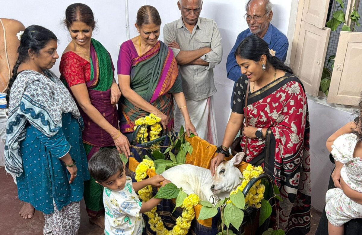 ಕರುಗಳಿಗೆಗೆ ತೊಟ್ಟಲು ಶಾಸ್ತ್ರ…ಗೋವುಗಳಿಗೆ ವಿಶೇಷ ಆರಾಧನೆ…