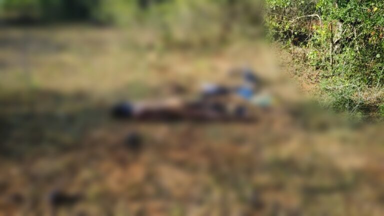 ಹನೂರು : ಬಾಳೆಗೊನೆ ಕಟಾವು ಮಾಡಿ ಸ್ವಗ್ರಾಮಕ್ಕೆ ತೆರಳುತ್ತಿದ್ದ ಕೂಲಿ ಕಾರ್ಮಿಕನ ಮೇಲೆ ಕಾಡಾನೆ ದಾಳಿಮಾಡಿದ ಪರಿಣಾಮ ಸ್ಥಳದಲ್ಲಿಯೇ ಮೃತಪಟ್ಟಿರುವ ಘಟನೆ ಬುದುವಾರ ರಾತ್ರಿ ಎಂಟು ಗಂಟೆಯಲ್ಲಿ ಜರುಗಿದೆ.