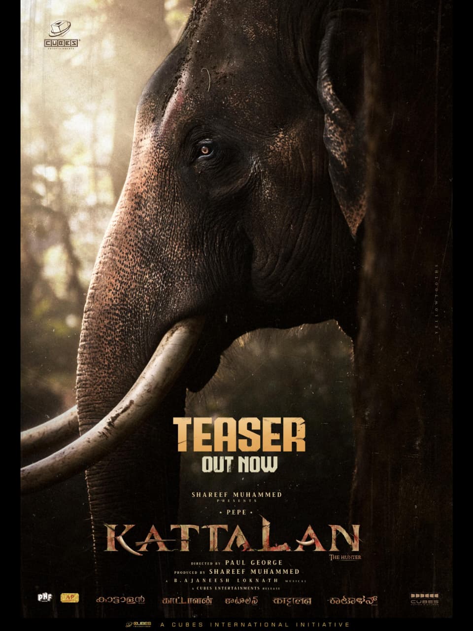 ಆನೆಯೊಂದಿಗೆ ಆಟ, ಬಾಕ್ಸ್ ಆಫೀಸ್ ಮೇಲೆ ಕಣ್ಣು: ಇದುವೇ ಅಂಟ್ರಿ ವರ್ಗೀಸ್ ಅವರ ‘ಕಟ್ಟಾಲನ್’ ಜಲಕ್!