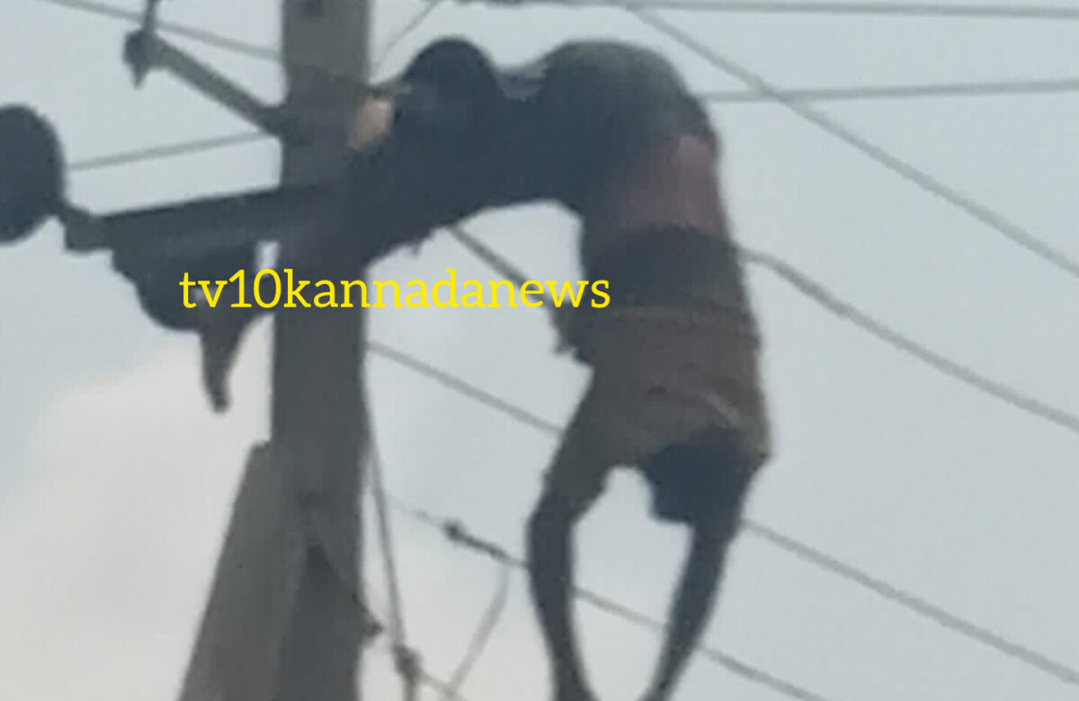 ವಿದ್ಯುತ್ ಸ್ಪರ್ಷ…ಕಂಬದ ಮೇಲೆ ಲೈನ್ ಮನ್ ಸಾವು…