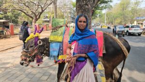 ಮೈಸೂರಿನ ವಾಹನ ಸವಾರರಿಗೆ ಹೊಸ ಪ್ರಾಬ್ಲಂ…ಭಿಕ್ಷೆ ಬೇಡುವ ನೆಪದಲ್ಲಿ ಬೀದಿ ಬಸವಣ್ಣಗಳ ಕಾಟ…ರಸ್ತೆ ಸುಗಮ ಸಂಚಾರಕ್ಕೆ ಅಡಚಣೆ…