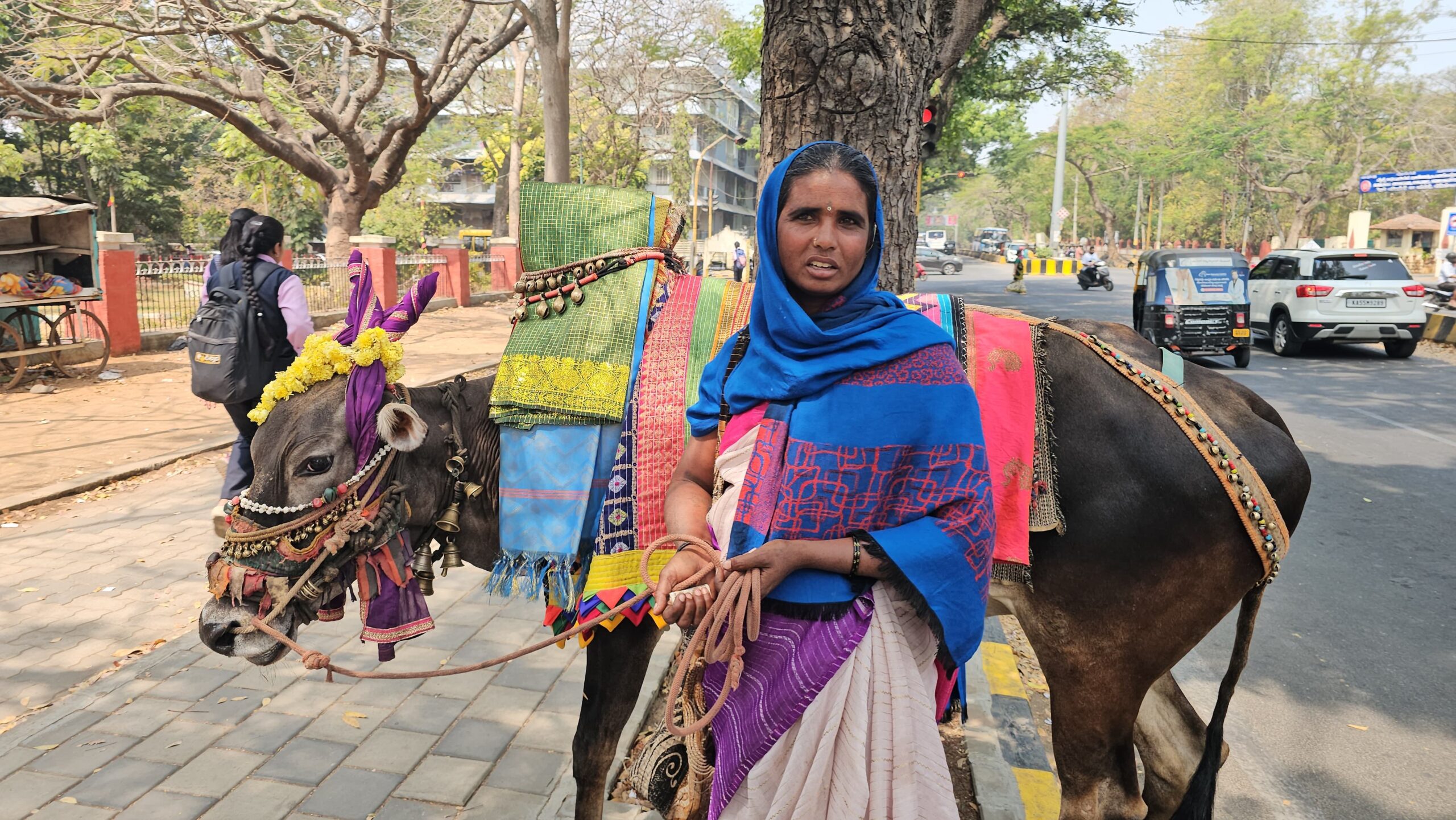 ಮೈಸೂರಿನ ವಾಹನ ಸವಾರರಿಗೆ ಹೊಸ ಪ್ರಾಬ್ಲಂ…ಭಿಕ್ಷೆ ಬೇಡುವ ನೆಪದಲ್ಲಿ ಬೀದಿ ಬಸವಣ್ಣಗಳ ಕಾಟ…ರಸ್ತೆ ಸುಗಮ ಸಂಚಾರಕ್ಕೆ ಅಡಚಣೆ…