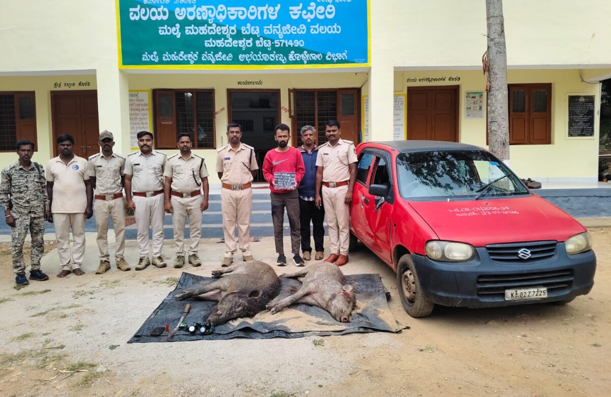 ಕಾಡುಹಂದಿ ಬೇಟೆ… ಓರ್ವನ ಬಂಧನ… ಮೂವರು ಪರಾರಿ…